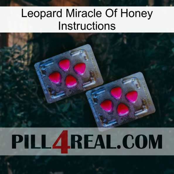 Leopard Miracle Of Honey Instructions 14.jpg